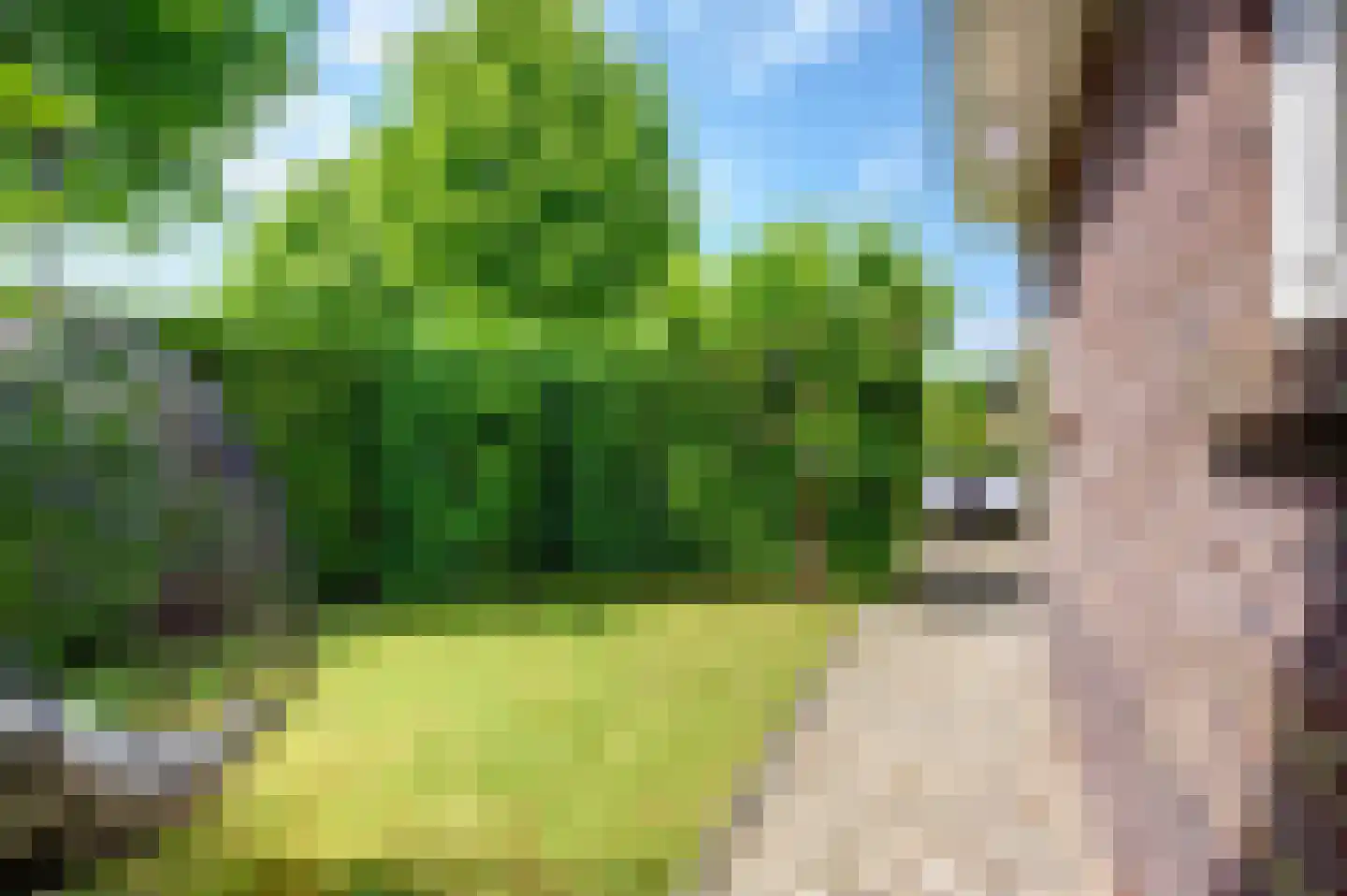 Twarrelt 2 Appingedam thumbnail 51