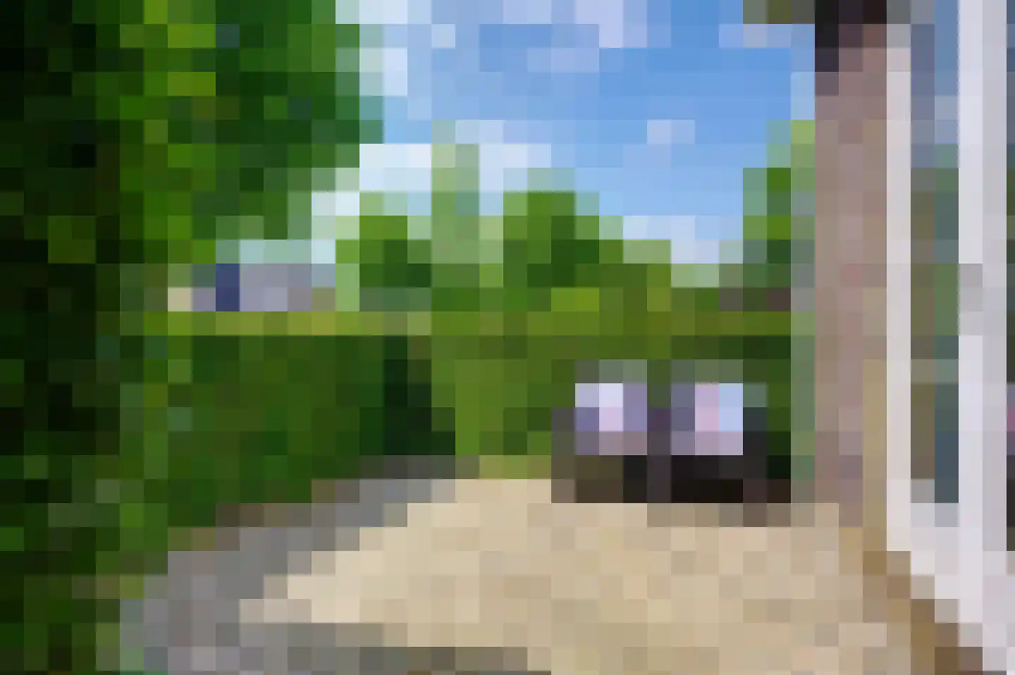Twarrelt 2 Appingedam thumbnail 53