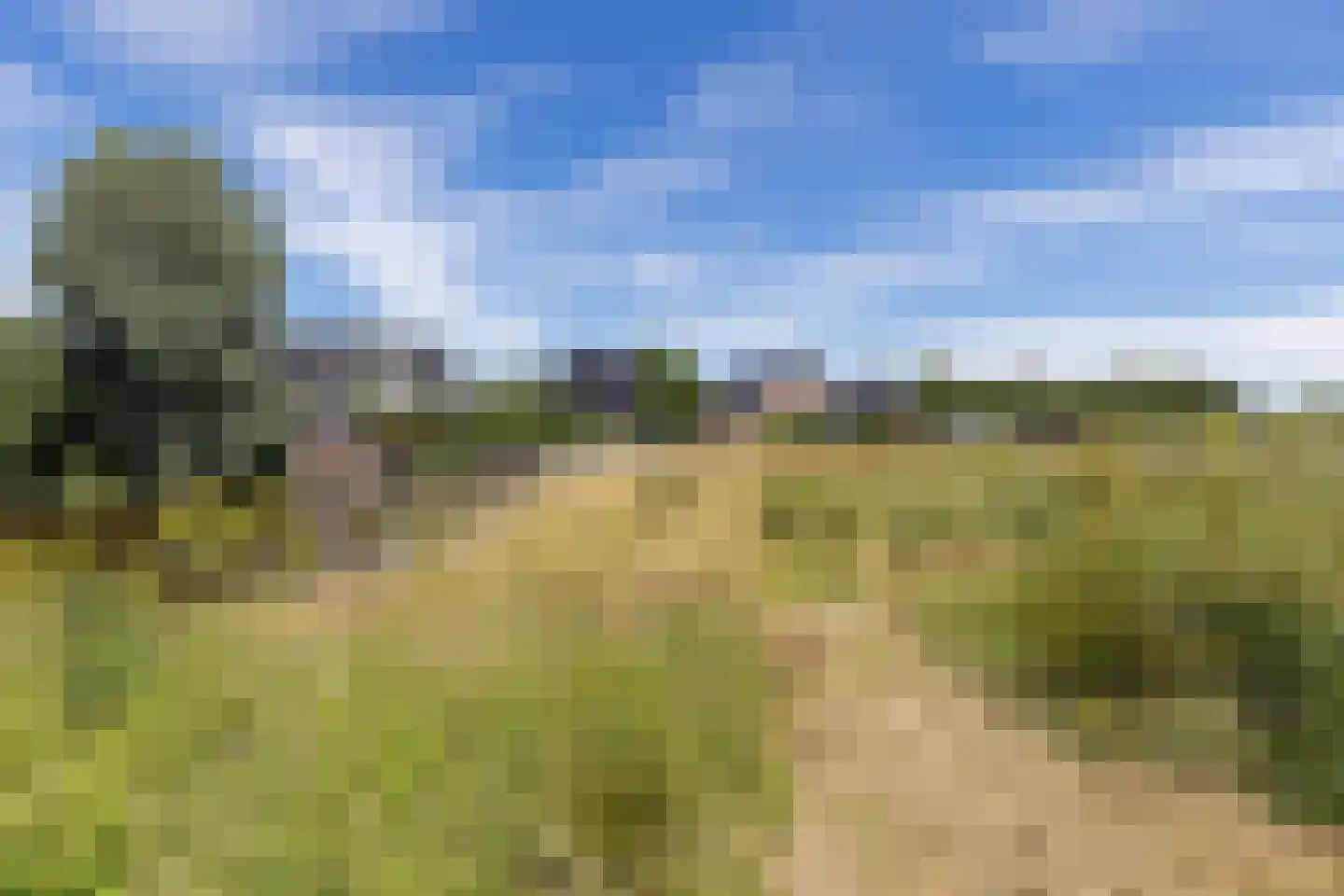 Twarrelt 27 Appingedam thumbnail 10