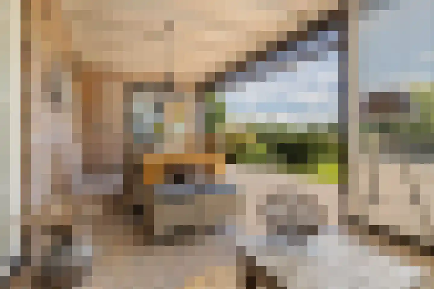 Twarrelt 27 Appingedam thumbnail 13
