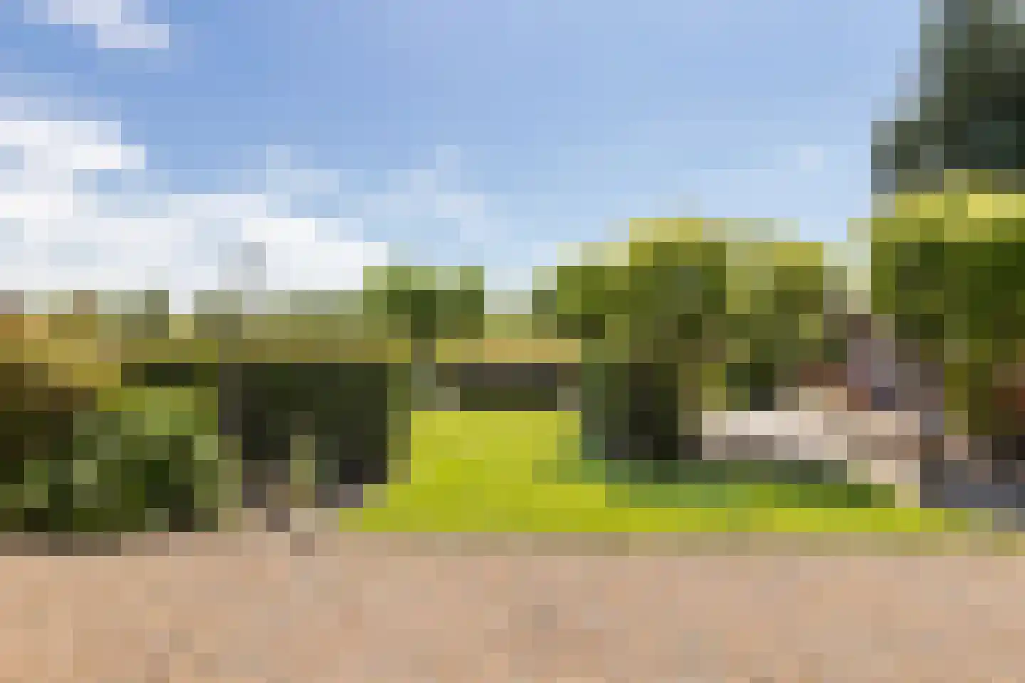 Twarrelt 27 Appingedam thumbnail 16