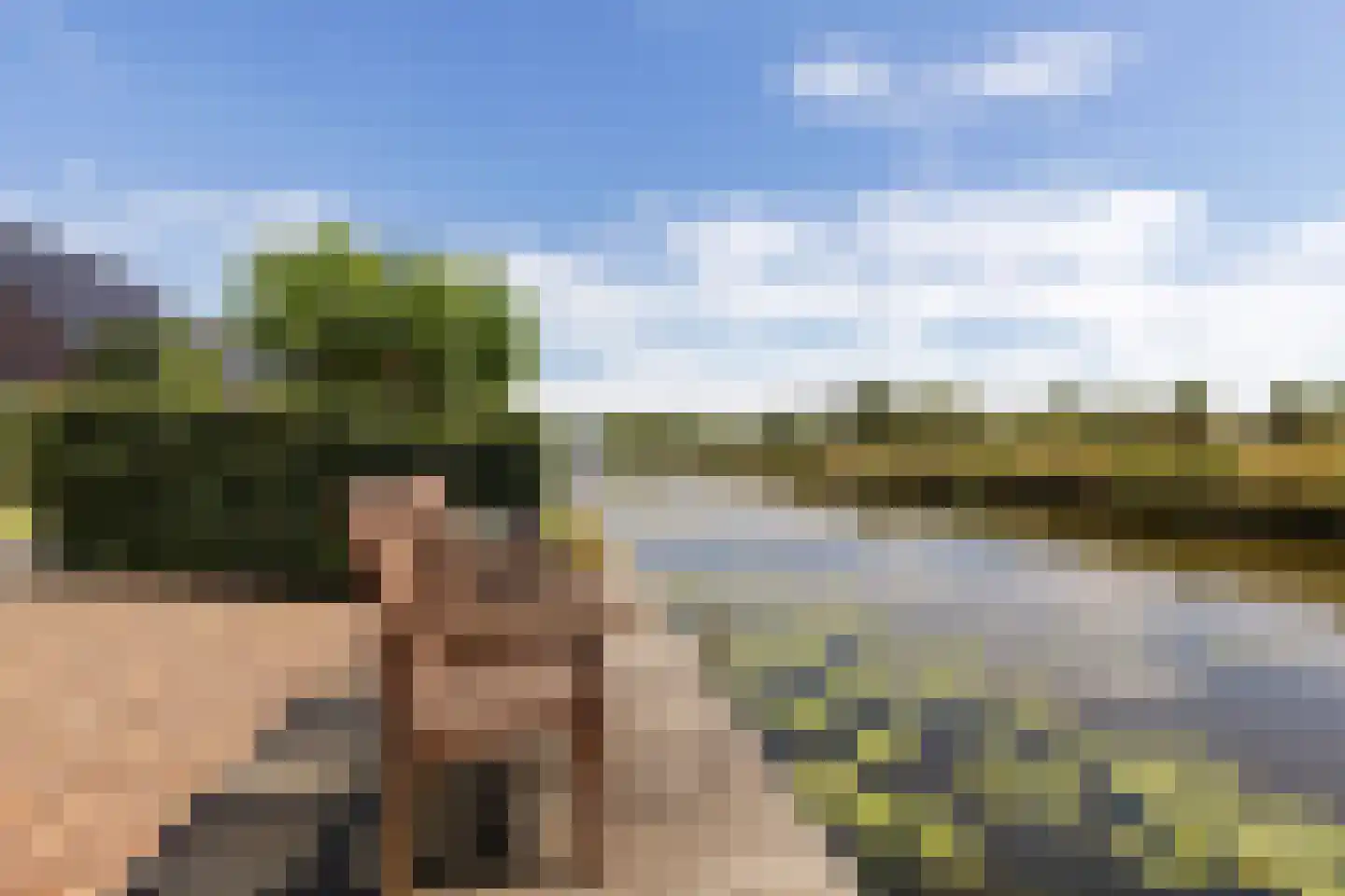 Twarrelt 27 Appingedam thumbnail 19
