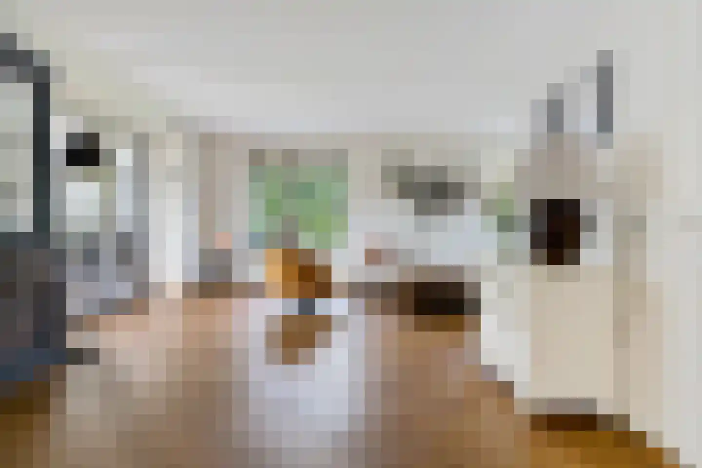 Twarrelt 27 Appingedam thumbnail 24