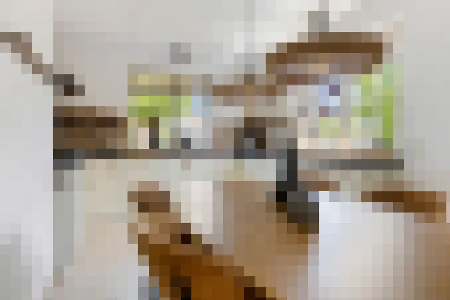 Twarrelt 27 Appingedam thumbnail 32
