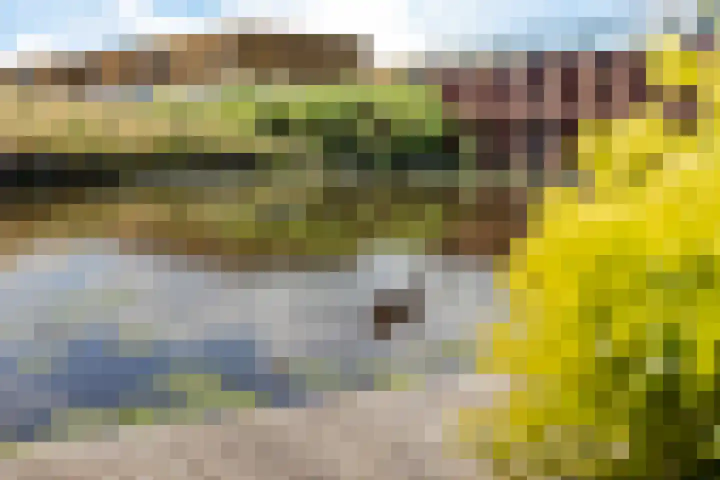 Twarrelt 27 Appingedam thumbnail 4