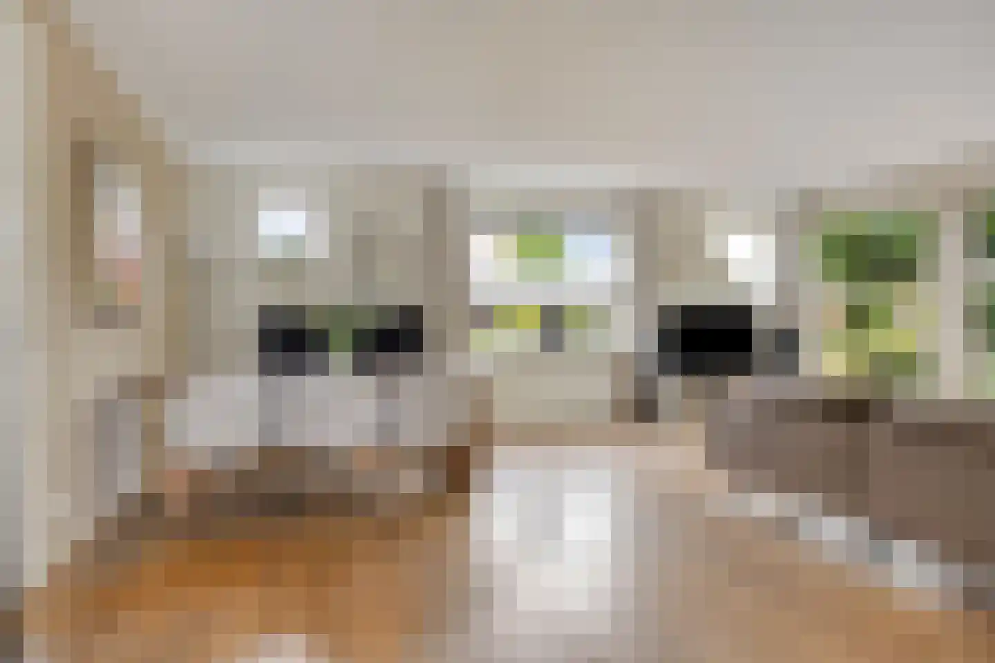 Twarrelt 5 Appingedam thumbnail 14