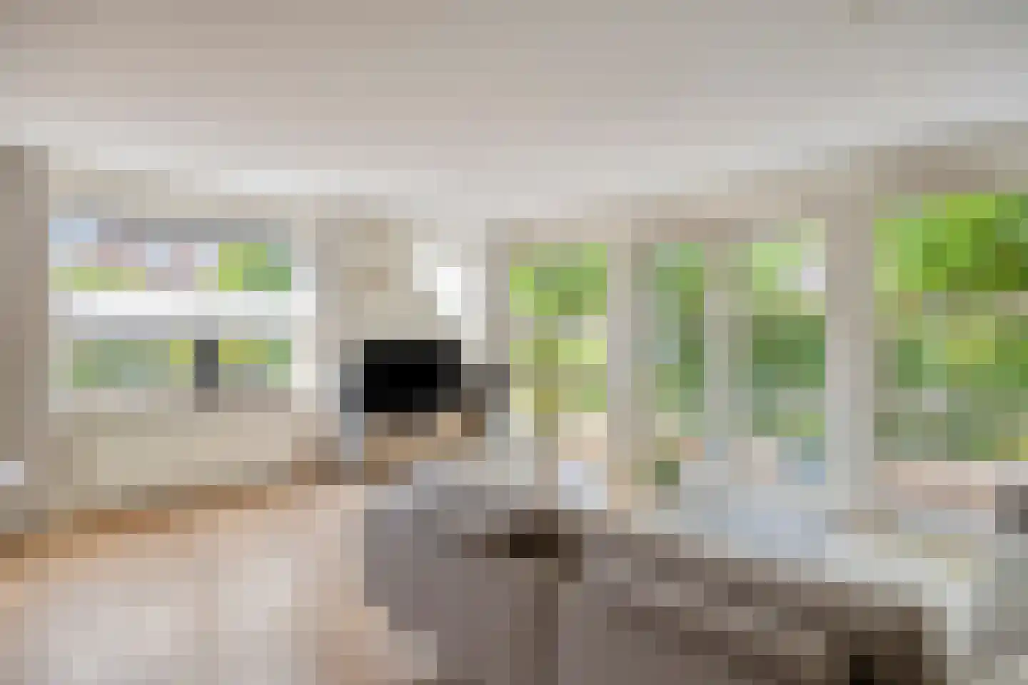 Twarrelt 5 Appingedam thumbnail 15