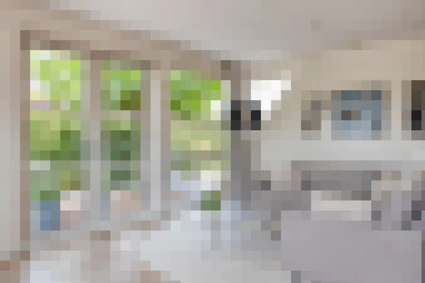 Twarrelt 5 Appingedam thumbnail 17