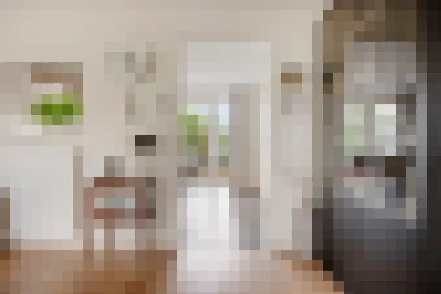 Twarrelt 5 Appingedam thumbnail 20