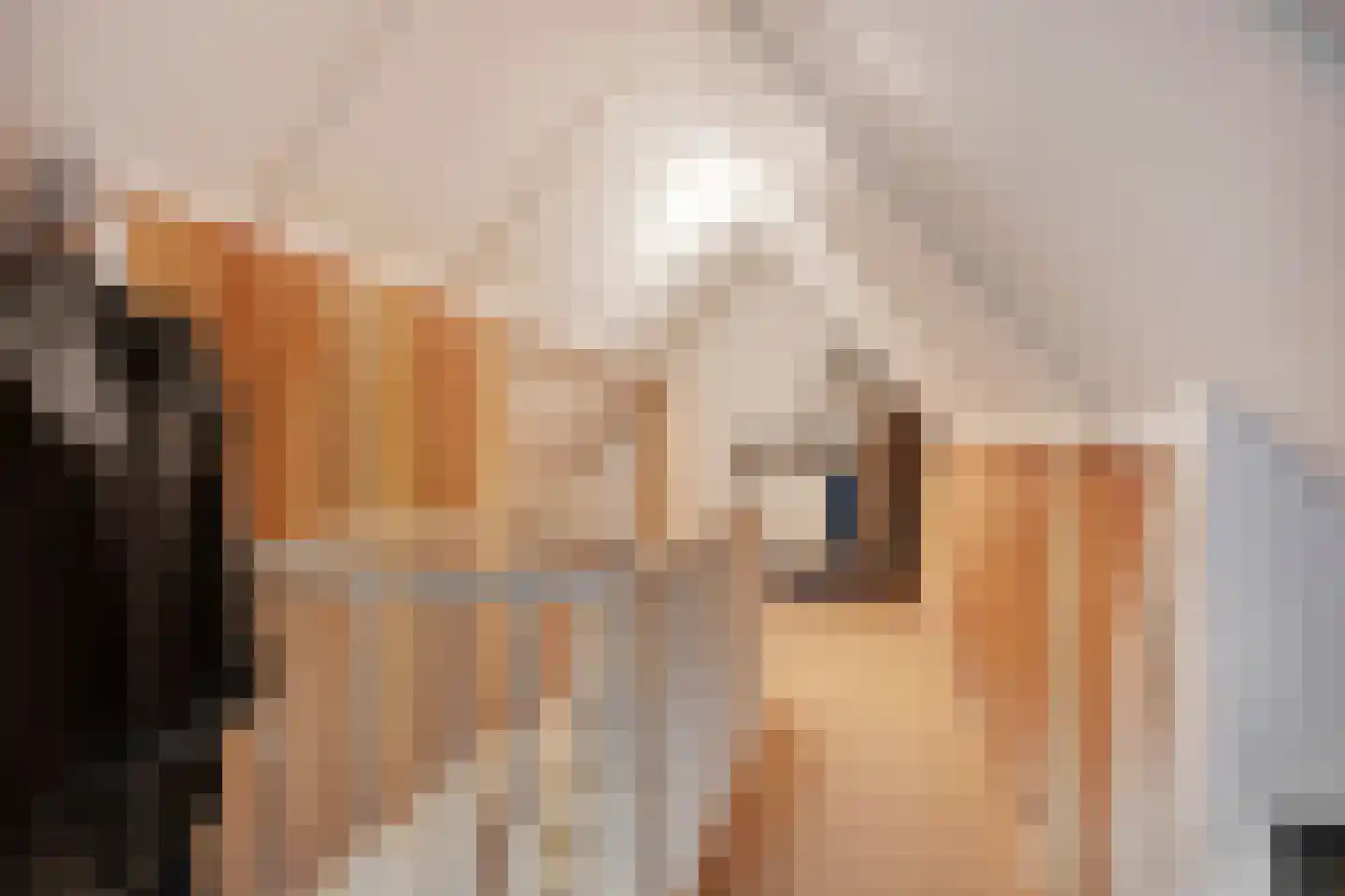 Twarrelt 5 Appingedam thumbnail 48
