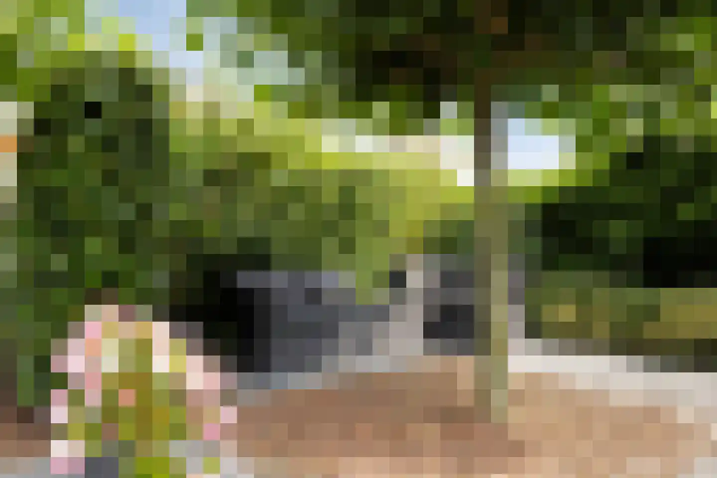 Twarrelt 5 Appingedam thumbnail 57
