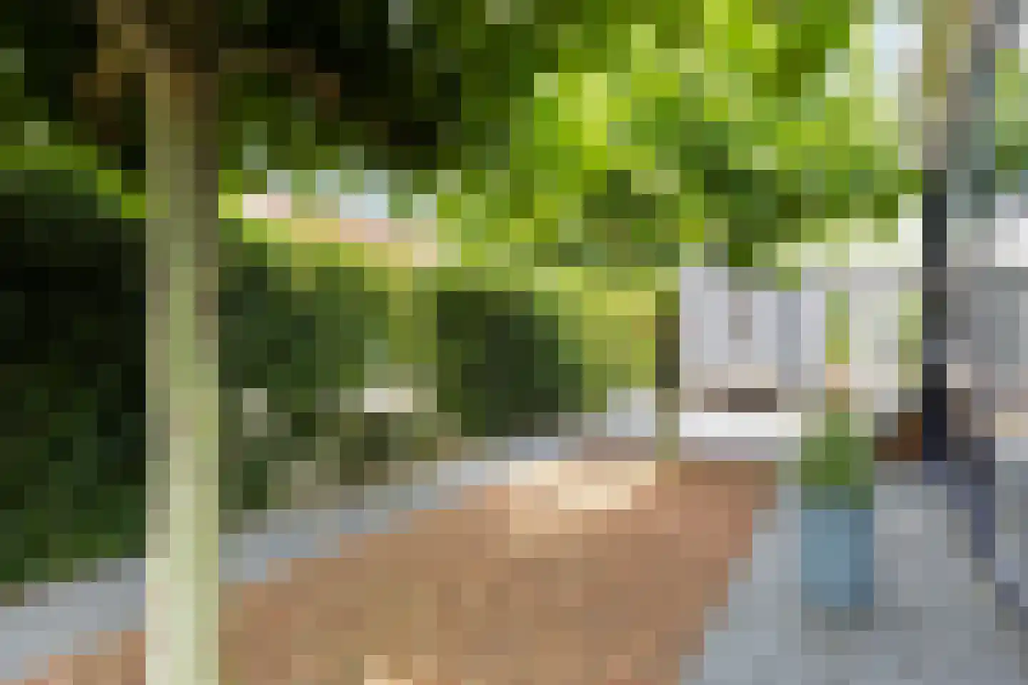 Twarrelt 5 Appingedam thumbnail 61