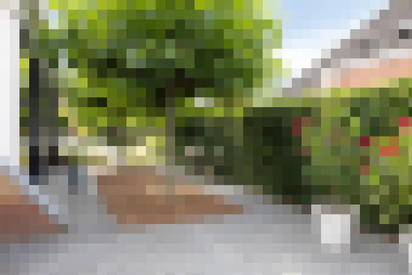 Twarrelt 5 Appingedam thumbnail 62