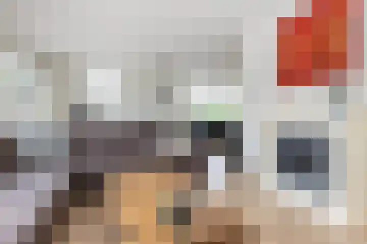 Twarrelt 6 Appingedam thumbnail 12