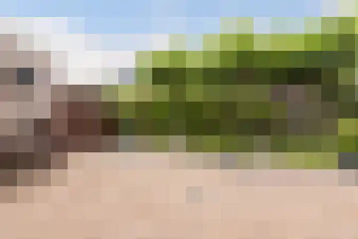 Twarrelt 6 Appingedam thumbnail 30