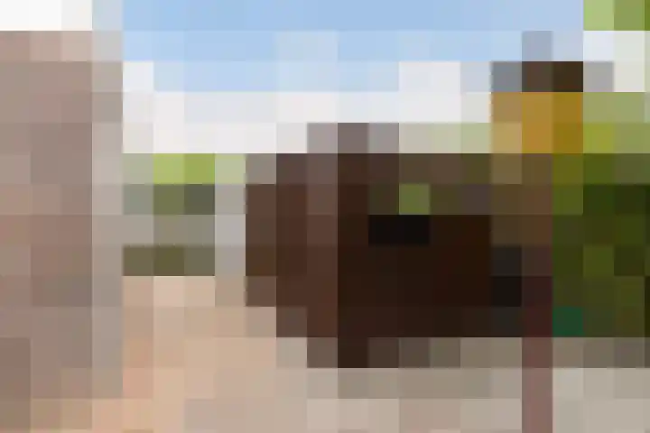 Twarrelt 6 Appingedam thumbnail 31
