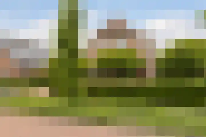 Twarrelt 6 Appingedam thumbnail 34