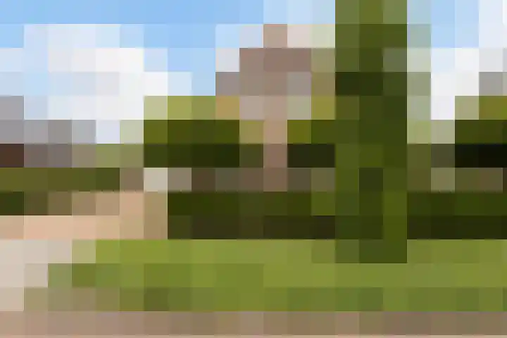 Twarrelt 6 Appingedam thumbnail 35