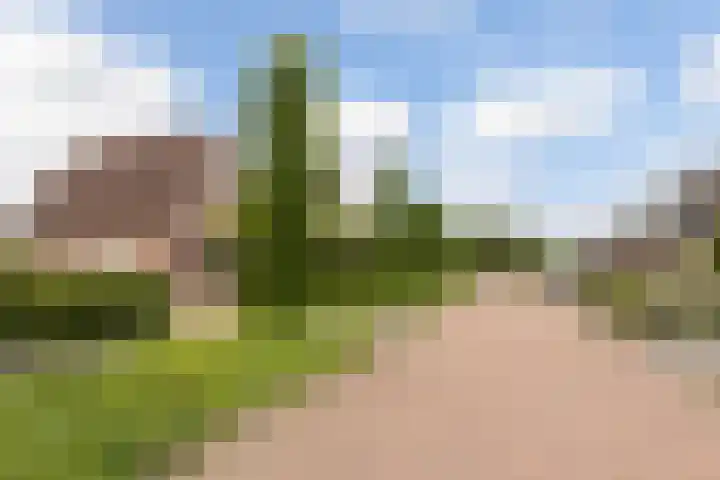Twarrelt 6 Appingedam thumbnail 36