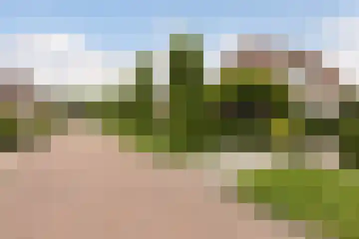 Twarrelt 6 Appingedam thumbnail 37