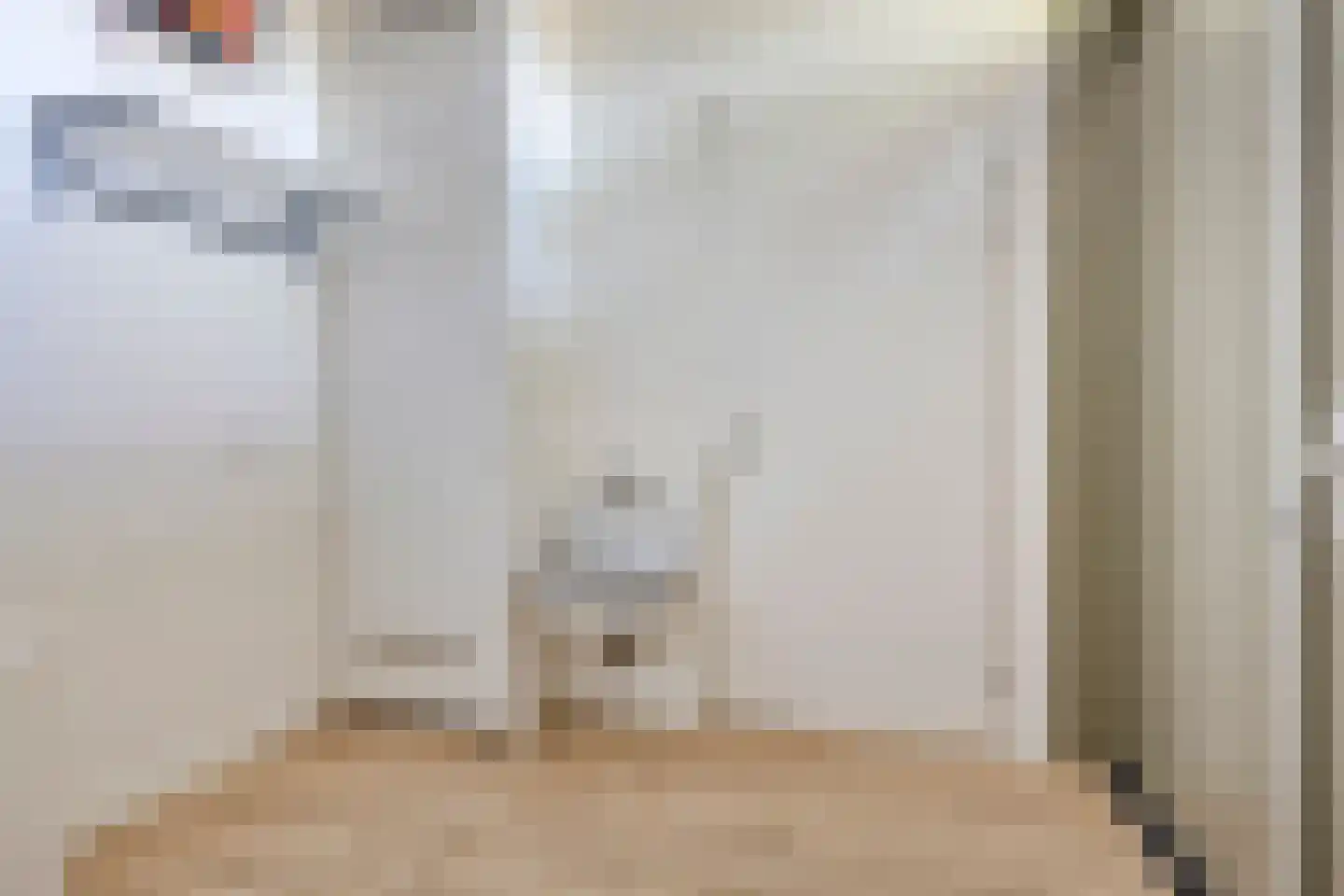 Twee Torensstraat 10 Erp thumbnail 23