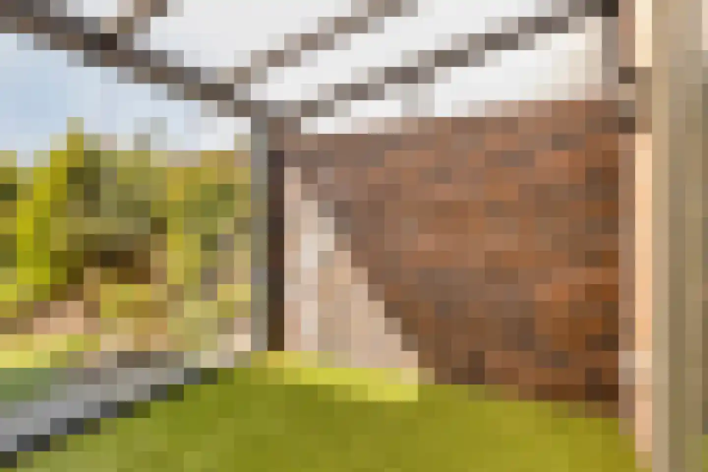 Twee Torensstraat 10 Erp thumbnail 31