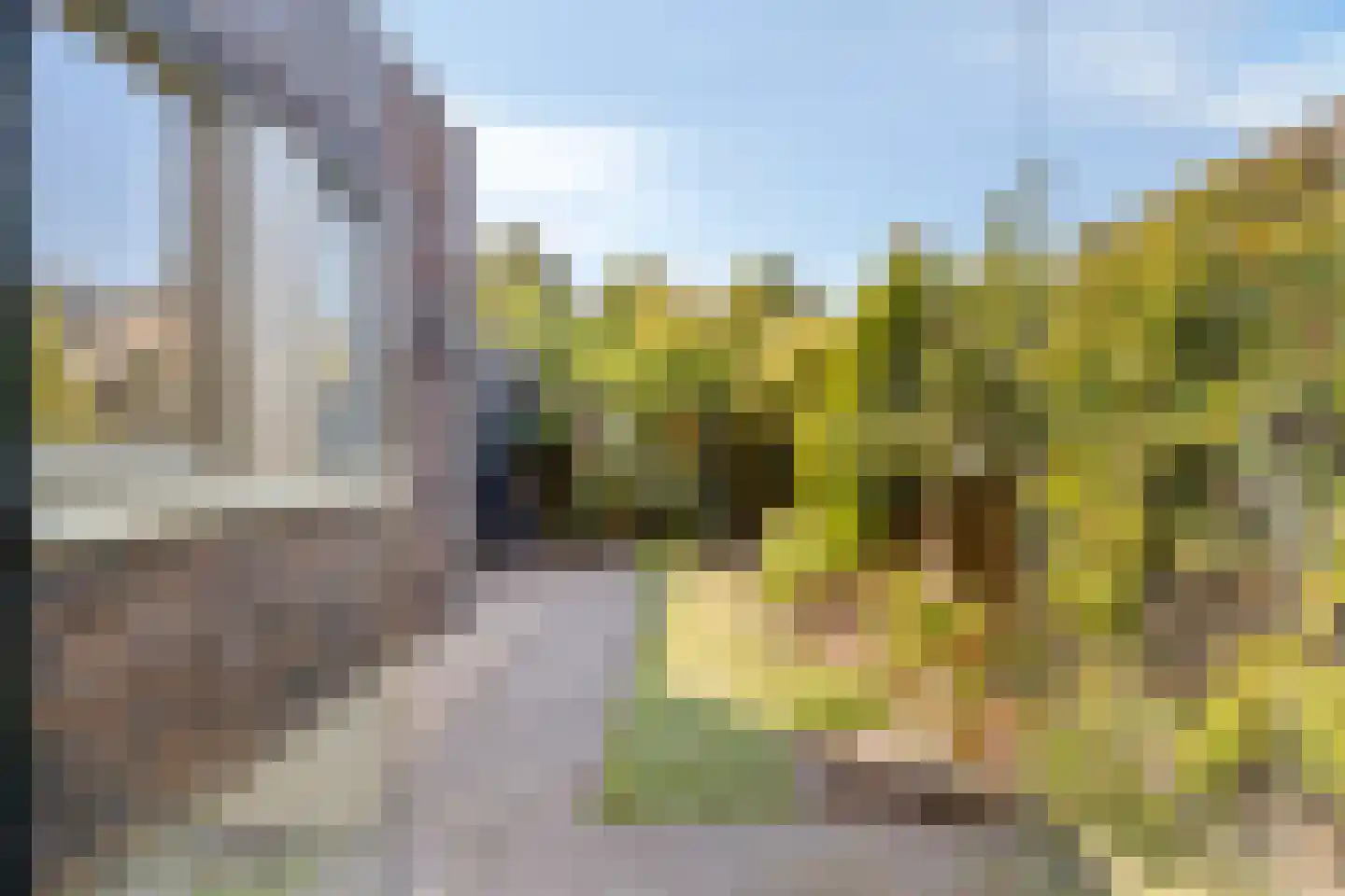 Twee Torensstraat 10 Erp thumbnail 33