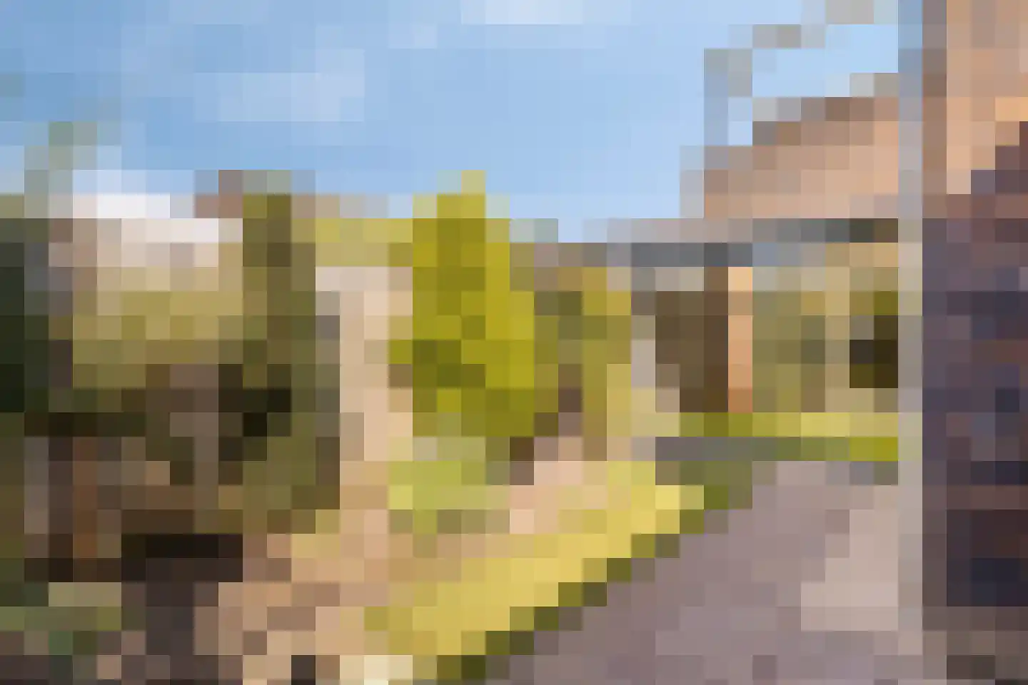 Twee Torensstraat 10 Erp thumbnail 35