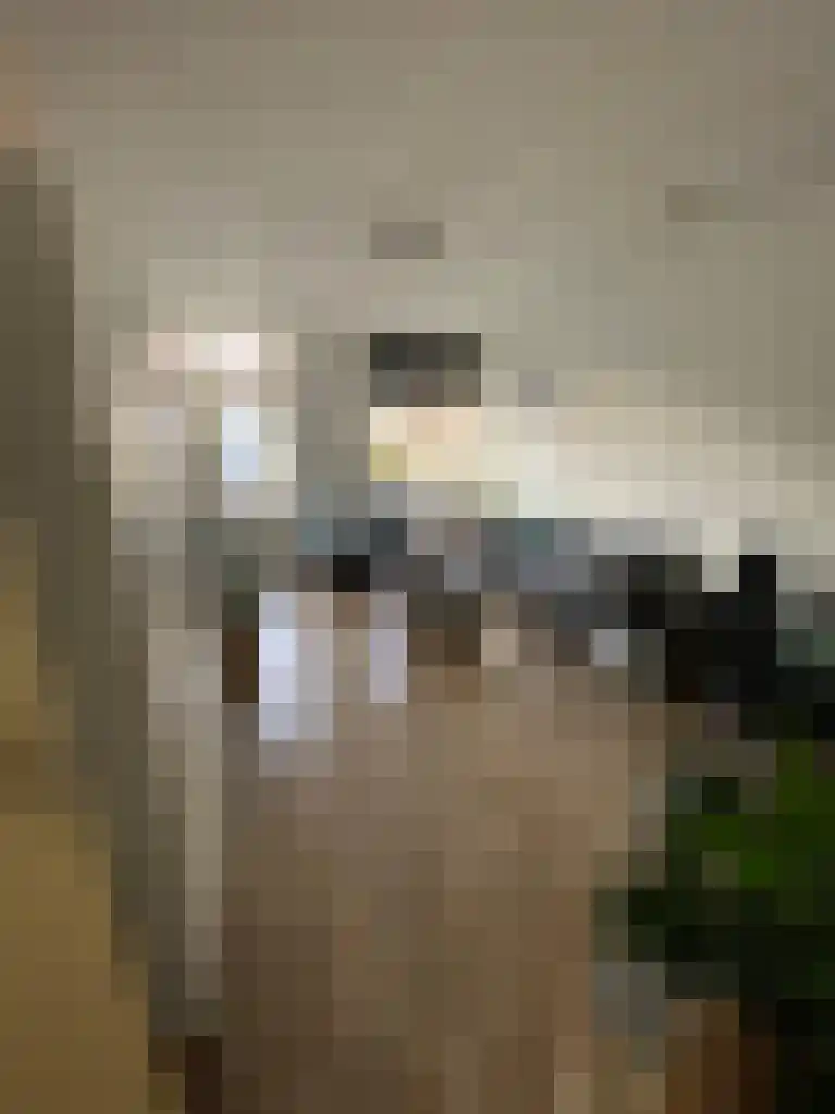 Tweebaksmarkt 38 a Leeuwarden thumbnail 5