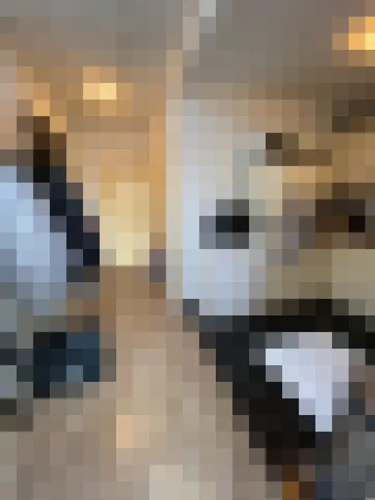 Tweebaksmarkt 38 a Leeuwarden thumbnail 6