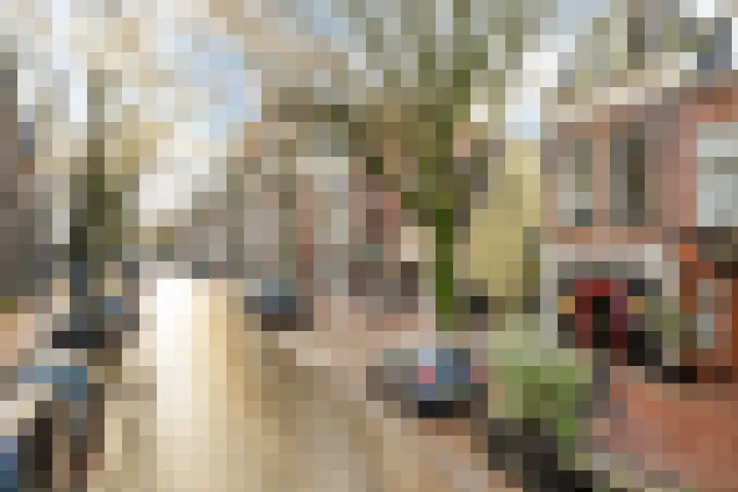 Tweebaksmarkt 42 a Leeuwarden thumbnail 4