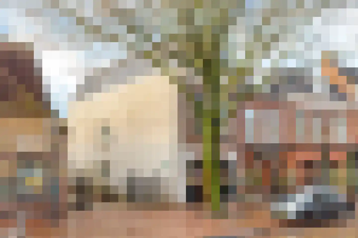 Tweebaksmarkt 42 a Leeuwarden thumbnail 5