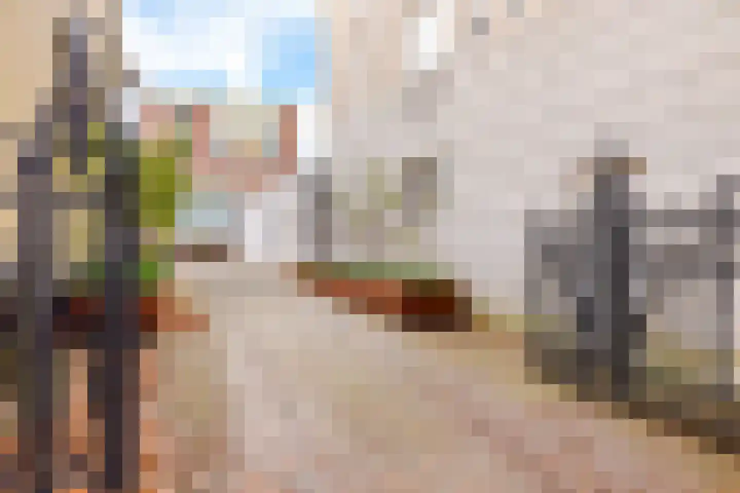 Tweebaksmarkt 42 a Leeuwarden thumbnail 7