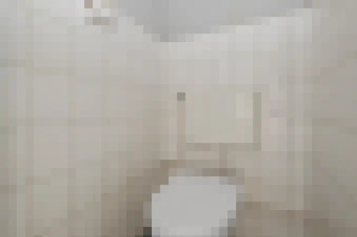 Tweebeen 4 Zaandijk thumbnail 11