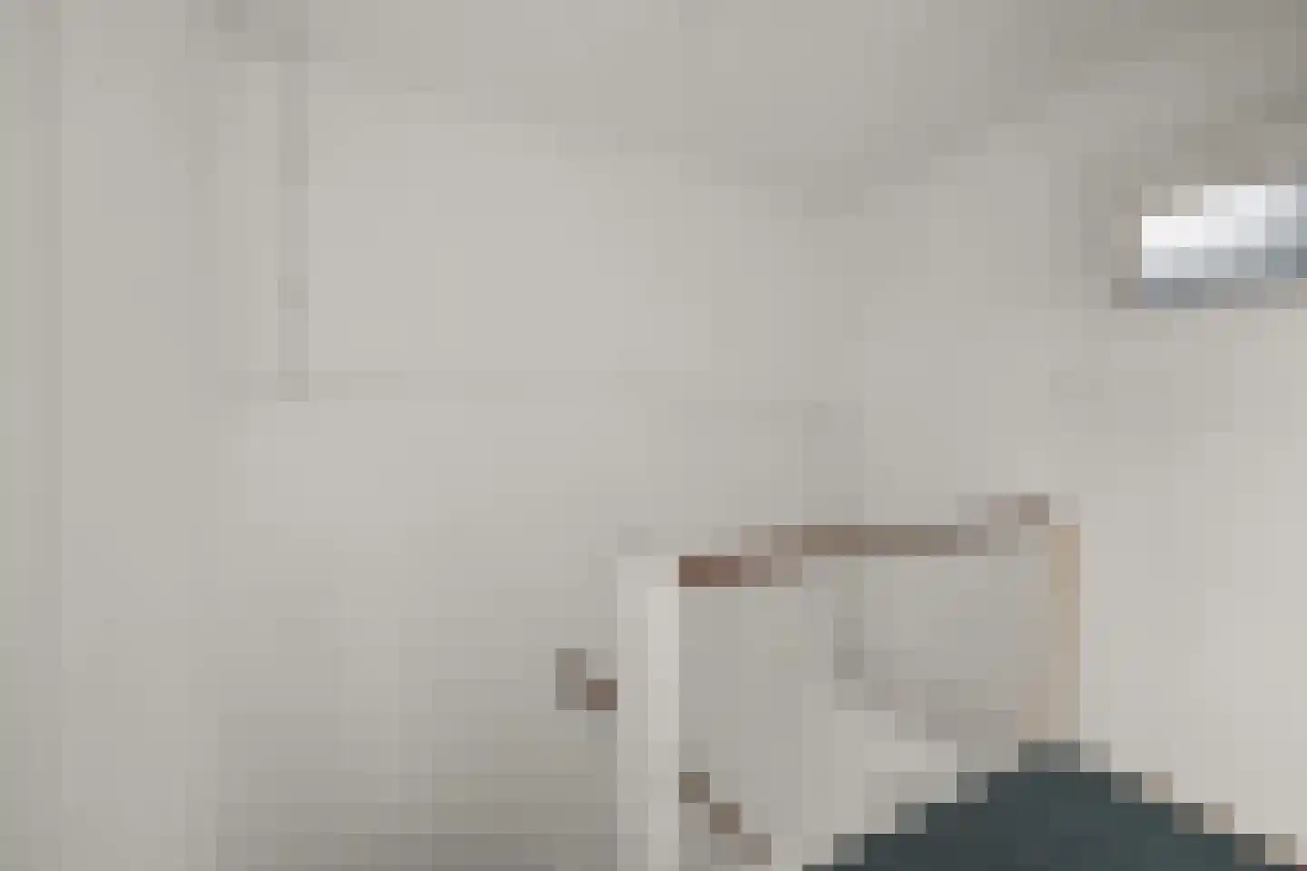 Tweebeen 4 Zaandijk thumbnail 22