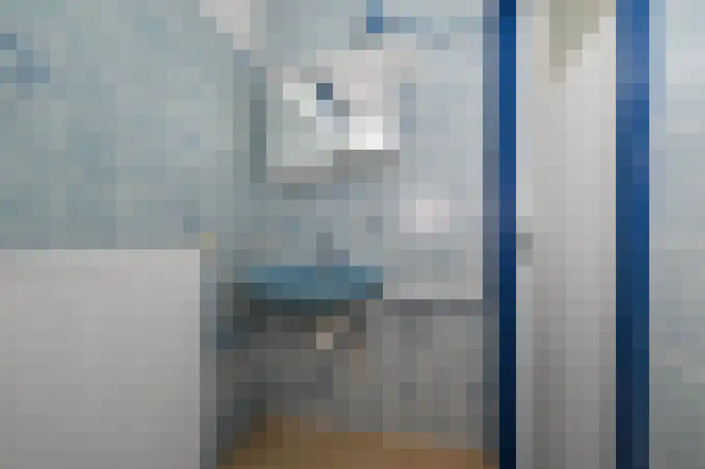 Tweebeen 4 Zaandijk thumbnail 24