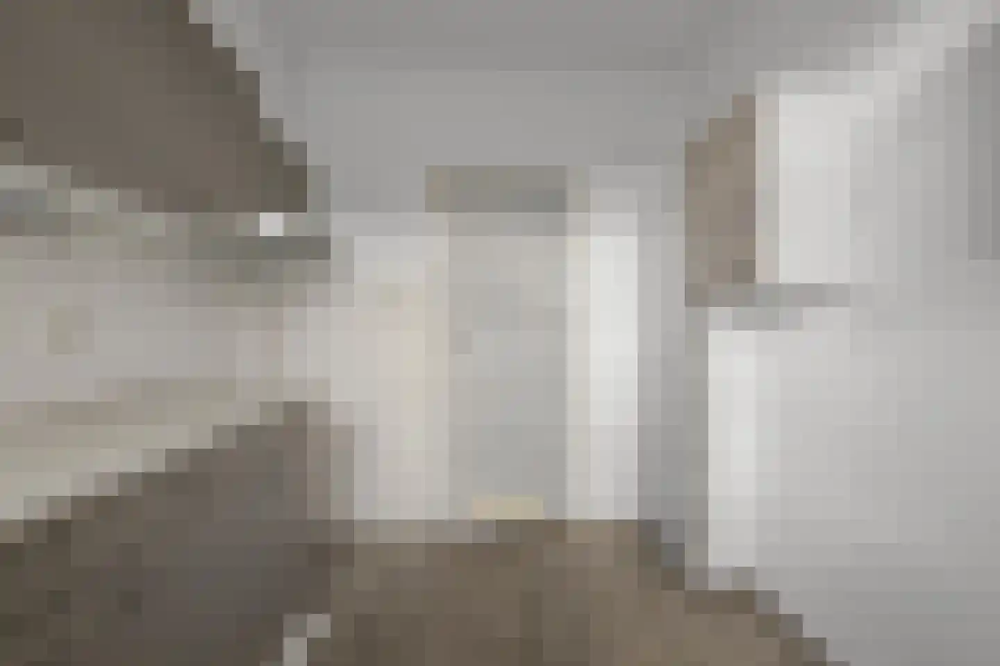Tweebeen 4 Zaandijk thumbnail 7