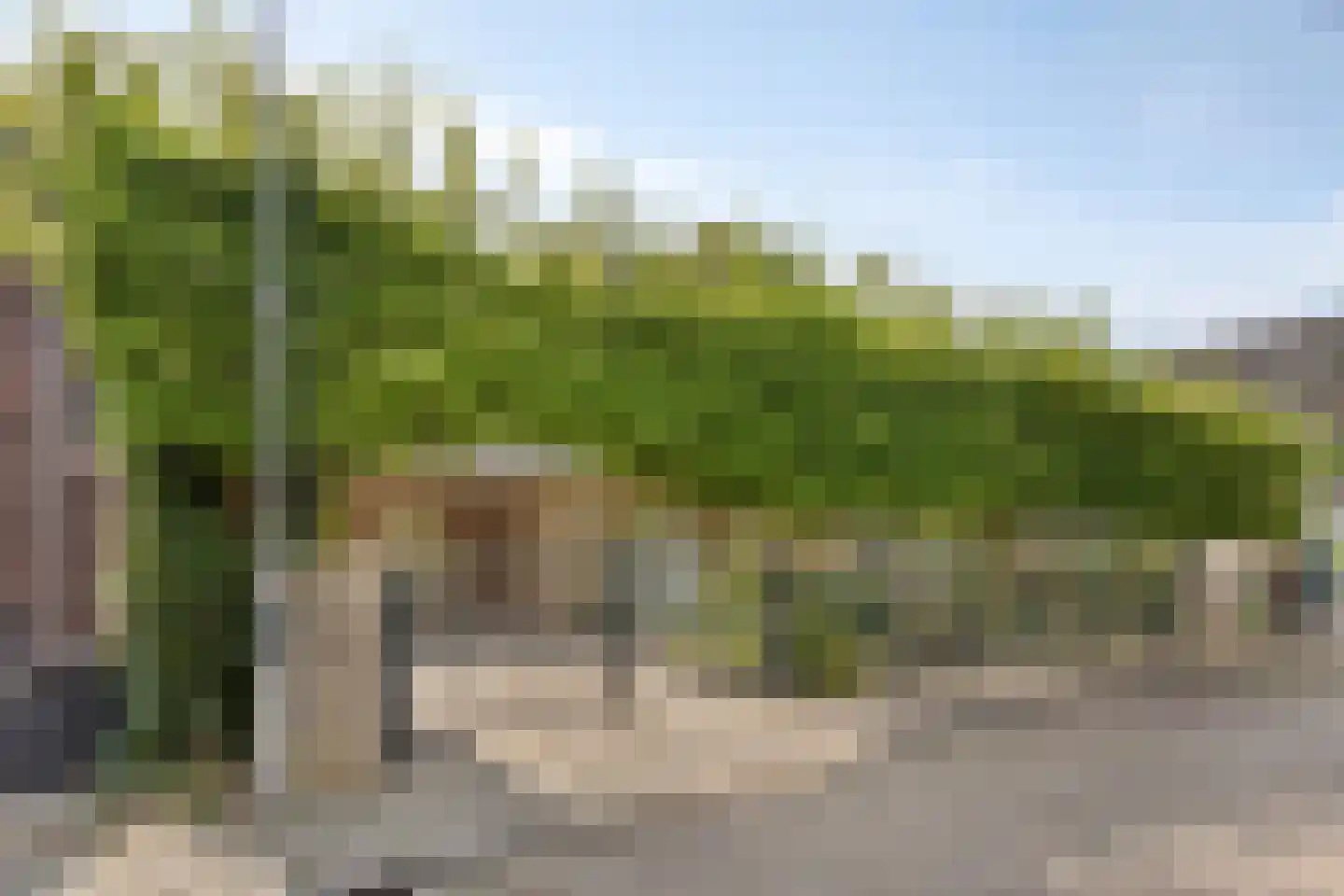 Tweeberg 46 Rosmalen thumbnail 54
