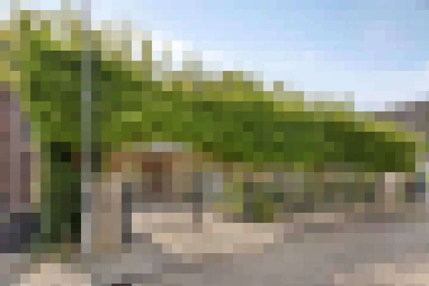 Tweeberg 46 Rosmalen thumbnail 55