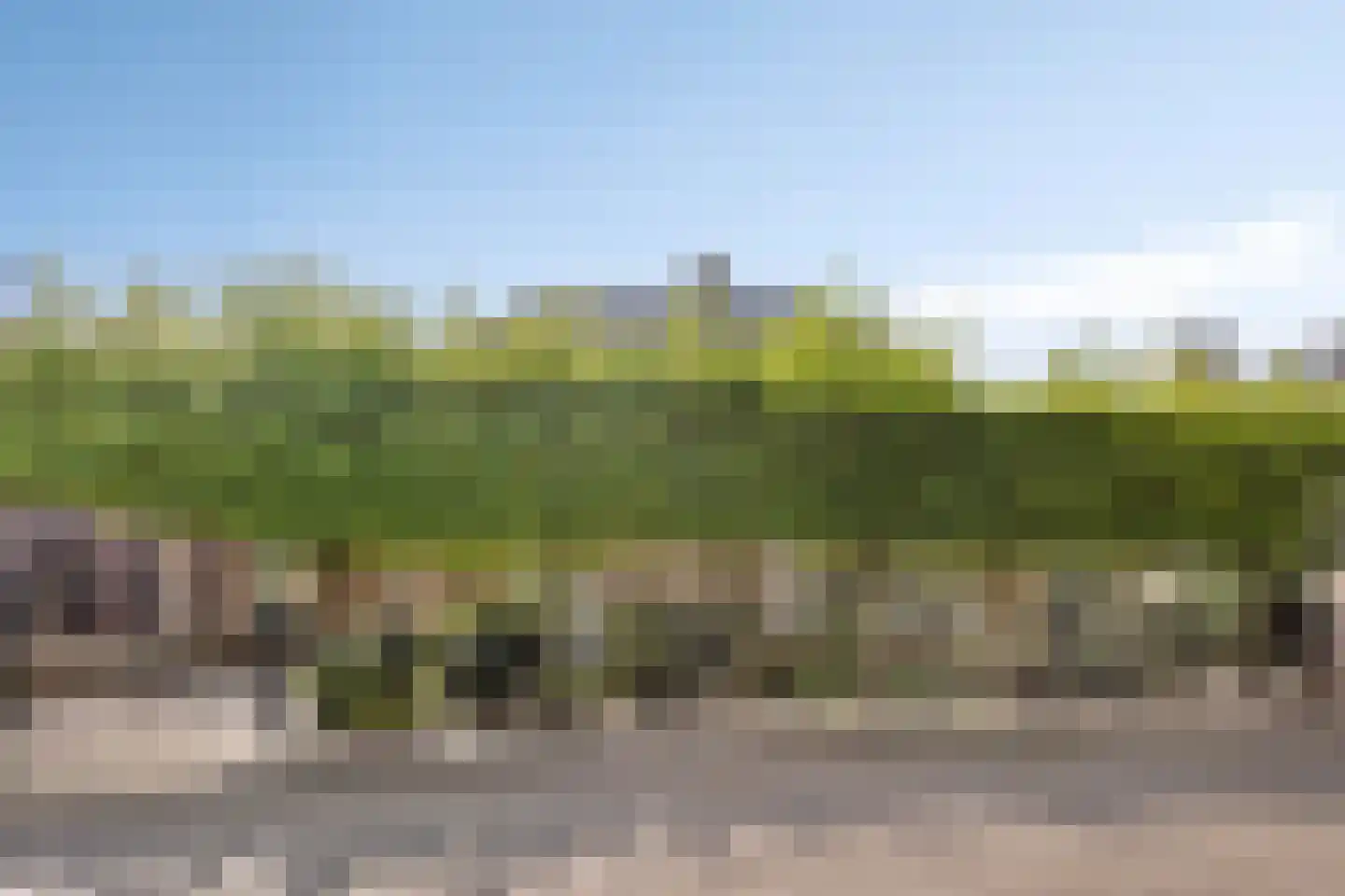Tweeberg 46 Rosmalen thumbnail 56