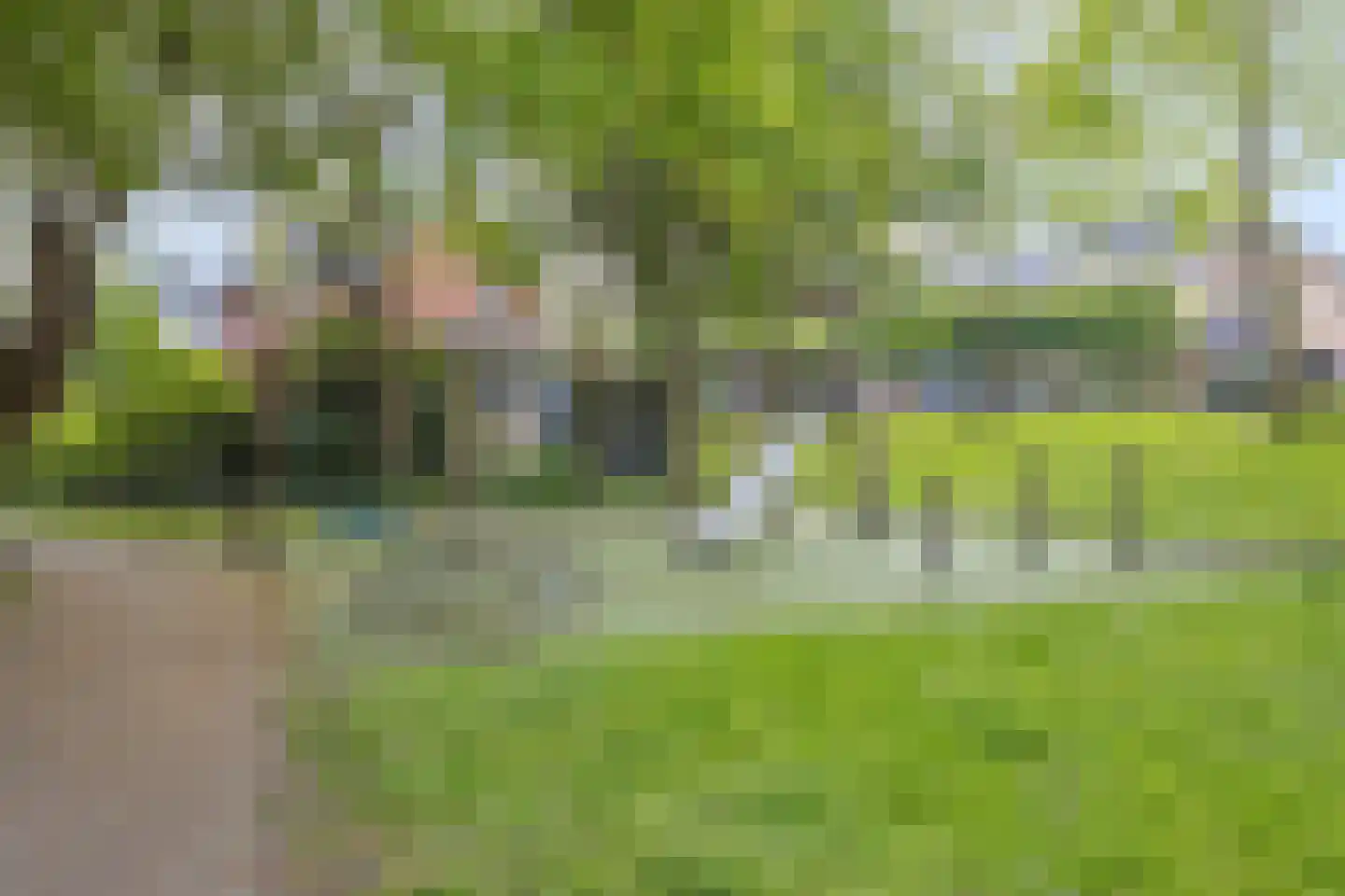 Tweeberg 46 Rosmalen thumbnail 57