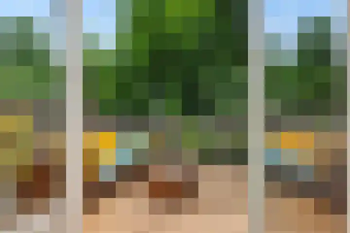 Tweeberg 48 Rosmalen thumbnail 16