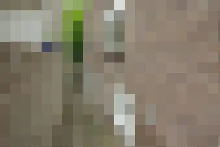 Tweeberg 48 Rosmalen thumbnail 43
