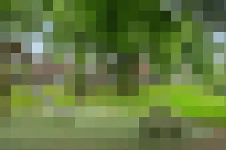 Tweeberg 48 Rosmalen thumbnail 49