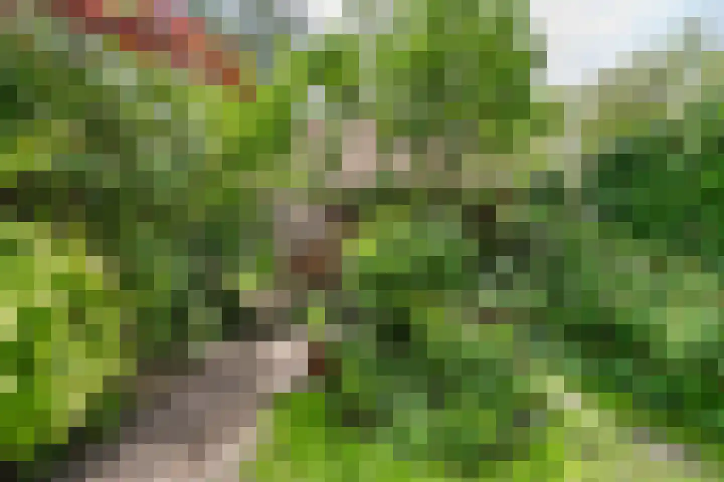 Tweeberg 66 Rosmalen thumbnail 25