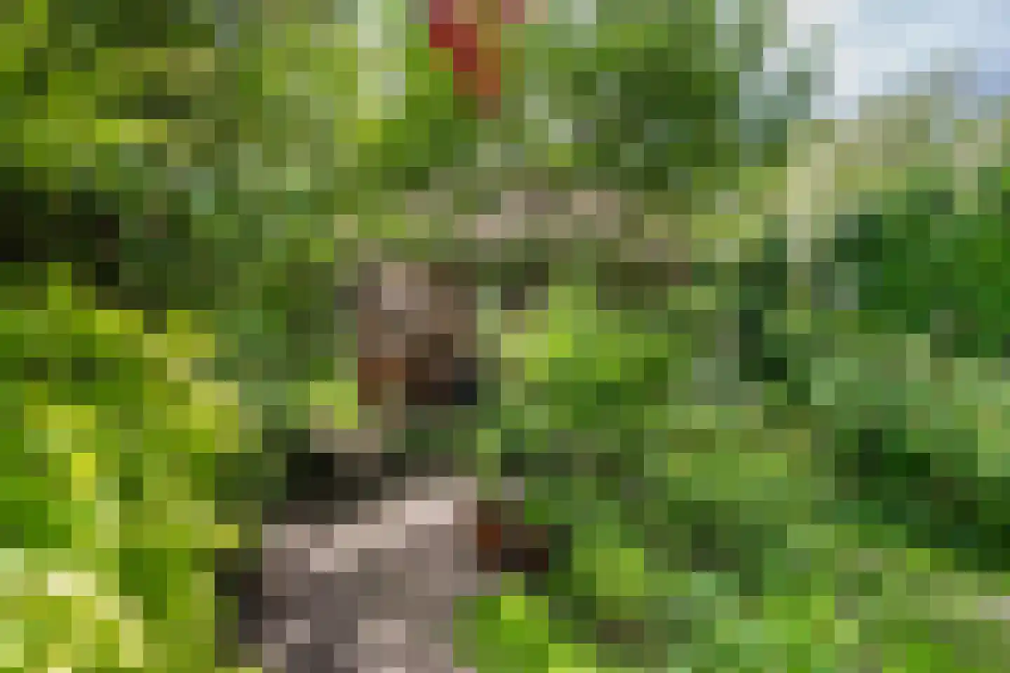 Tweeberg 66 Rosmalen thumbnail 26