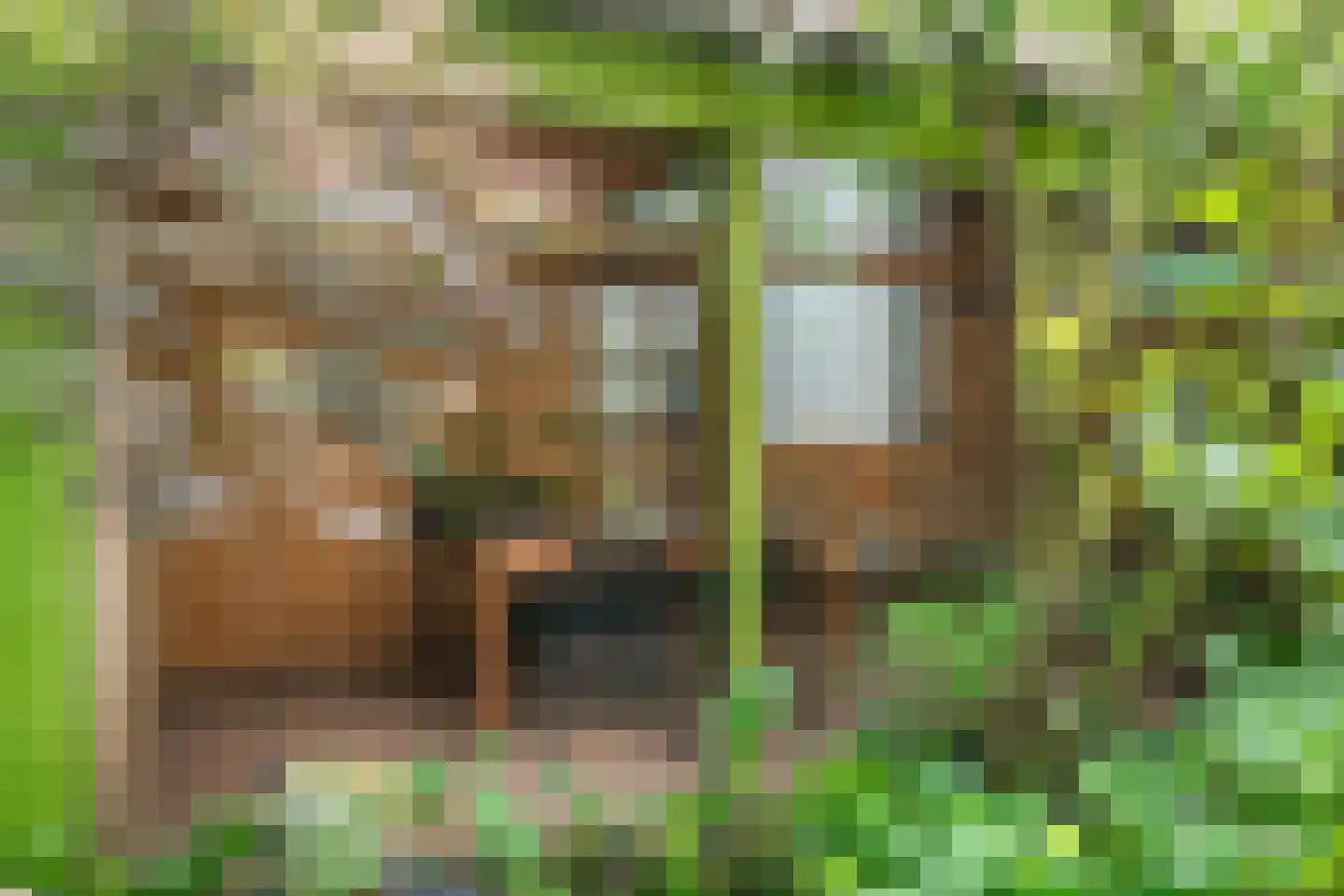Tweeberg 66 Rosmalen thumbnail 31