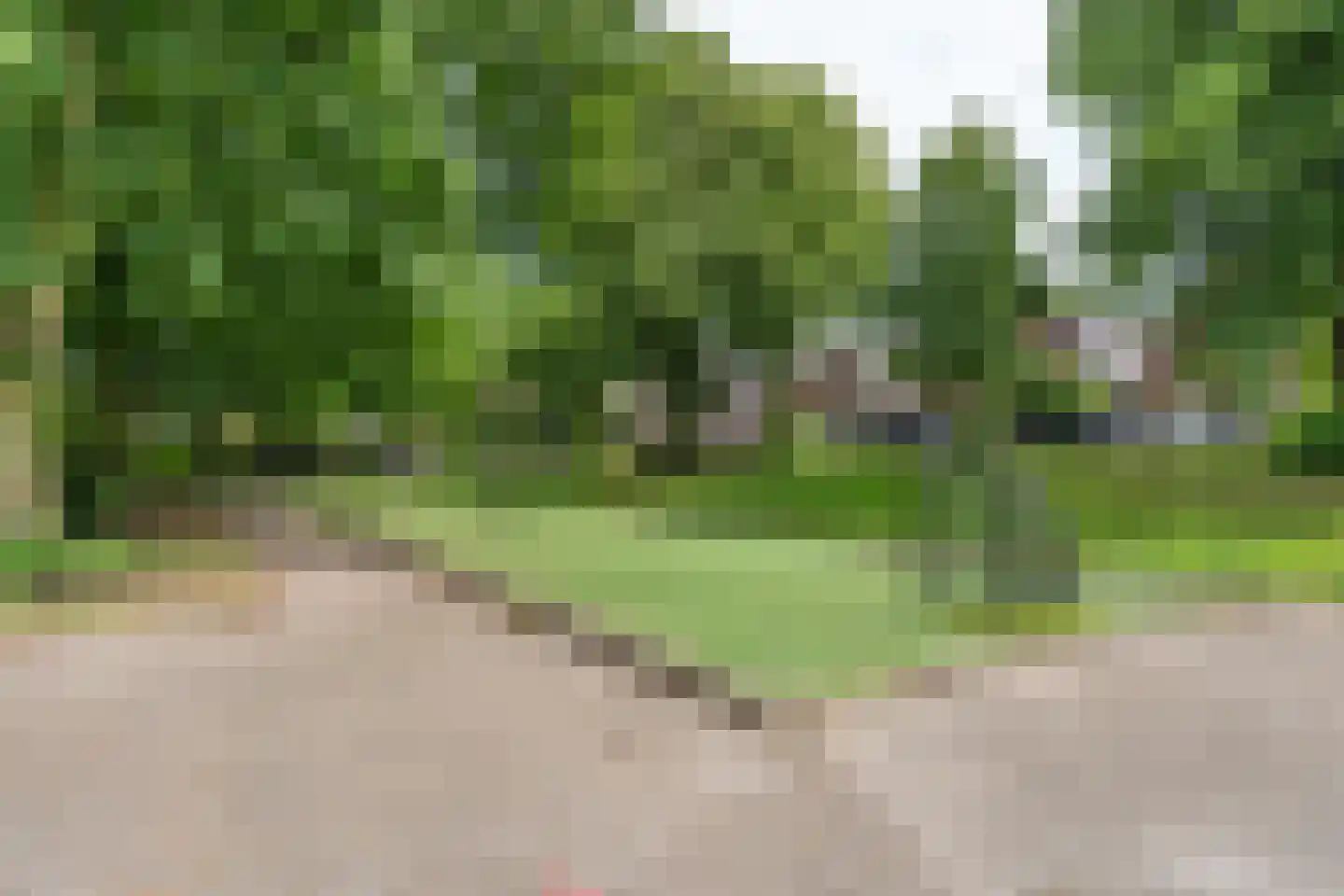 Tweeberg 66 Rosmalen thumbnail 38
