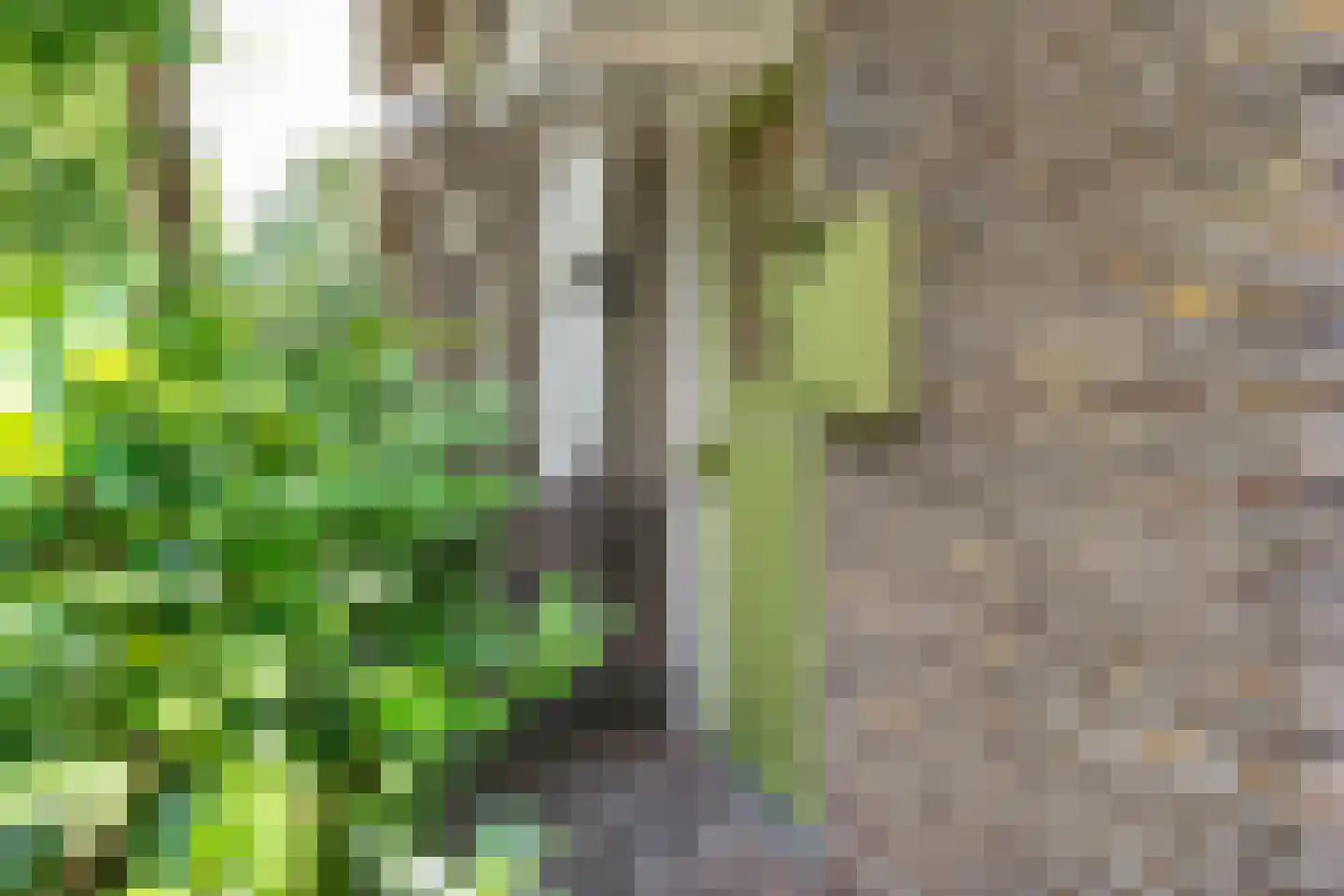 Tweeberg 66 Rosmalen thumbnail 6