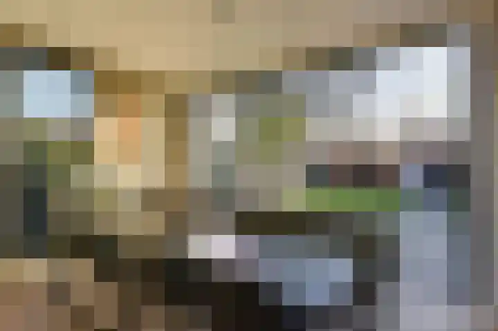 Tweeboomlaan 100 Hoorn thumbnail 16